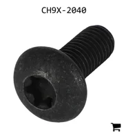 AGCO CH9X-2040 Винт с цилиндрической головкой