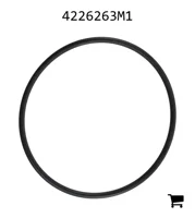 AGCO 4226263M1 Уплотнительное кольцо