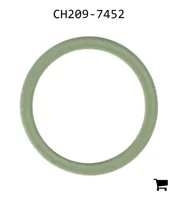 AGCO CH209-7452 Опорное кольцо