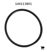 AGCO 1441130X1 Уплотнительное кольцо