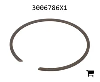 AGCO 3006786X1 Стопорное кольцо