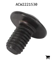 AGCO ACW2221530 Винт с цилиндрической головкой