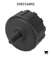 AGCO 3905544M1 Установочный винт