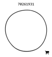 AGCO 70261931 Уплотнительное кольцо