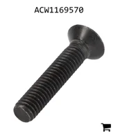 AGCO ACW1169570 Винт с потайной головкой
