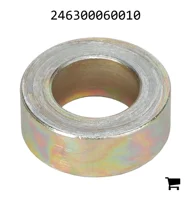 AGCO 246300060010 Кольцо