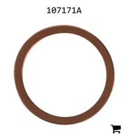 AGCO 107171A Шайба