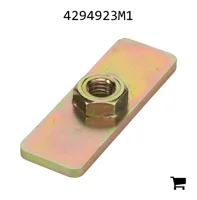 AGCO 4294923M1 Контрпластина