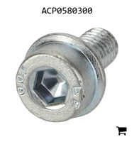 AGCO ACP0580300 Винт