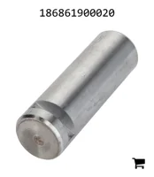 AGCO 186861900020 Болт
