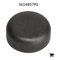 AGCO 3614857M1 Заглушка