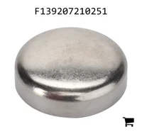 AGCO F139207210251 Крышка