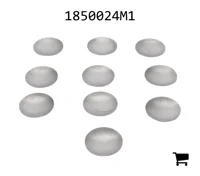 AGCO 1850024M1 Заглушка