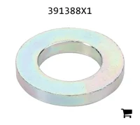 AGCO 391388X1 Плоская шайба