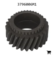 AGCO 3796006M1 Шестерня