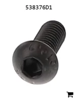 AGCO 538376D1 Винт