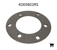 AGCO 4265021M1 Шайба