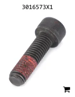 AGCO 3016573X1 Винт с внутренним шестигранником