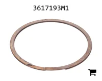 AGCO 3617193M1 Стопорное кольцо