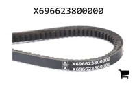 AGCO X696623800000 Ремень клиновой