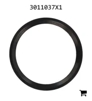 AGCO 3011037X1 Уплотнительное кольцо