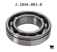 AGCO 2.2044.003.0 Подшипник 6006