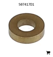 AGCO 507417D1 Шайба
