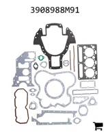 AGCO 3908988M91 Комплект соединений и прокладок