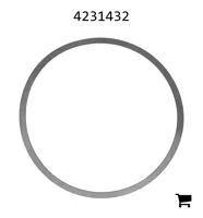 AGCO 4231432 Шайба