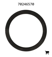 AGCO 70246570 Шайба