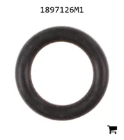 AGCO 1897126M1 Прокладка