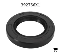 AGCO 392756X1 Радиальное уплотнительное кольцо