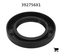 AGCO 392756X1 Радиальное уплотнительное кольцо