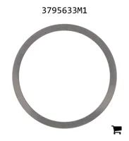 AGCO 3795633M1 Регулировочная шайба