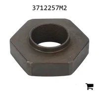 AGCO 3712257M2 Специальная гайка