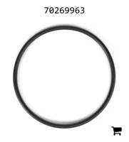 AGCO 70269963 Уплотнительное кольцо
