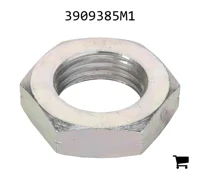 AGCO 3909385M1 Гайка