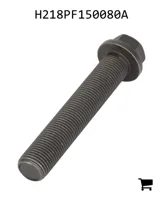 AGCO H218PF150080A Винт с шестигранной головкой