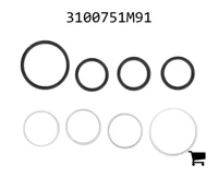 AGCO 3100751M91 Комплект прокладок
