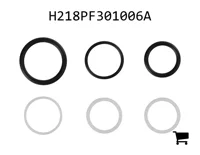 AGCO H218PF301006A Ремкомплект