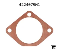 AGCO 4224079M1 Прокладка привода шестерни