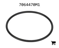 AGCO 7064470M1 Уплотнительное кольцо