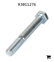 AGCO R3011276 Винт