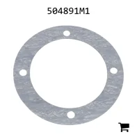 AGCO 504891M1 Прокладка