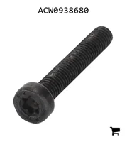AGCO ACW0938680 Установочный винт с шестигранной головкой