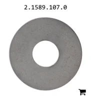AGCO 2.1589.107.0 Шайба