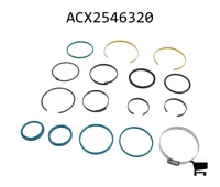 AGCO ACX2546320 Ремкомплект