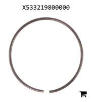 AGCO X533219800000 Стопорное кольцо