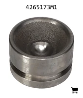 AGCO 4265173M1 Поршень