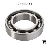 AGCO 390698X1 Подшипник 6007 Z